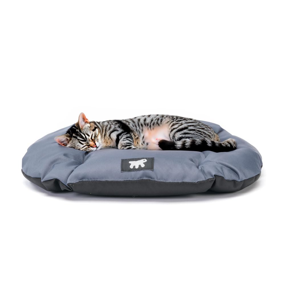 Ferplast Lit pour chien Coussin pour chien Petits chiens Tissu anti-rayures Lavable en machine à 30° Matelas imperméable pour chien 43 x 30 x 3 cm Gris
