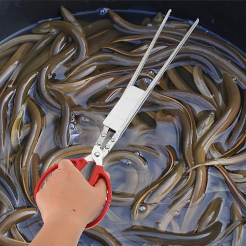 Pinza para cangrejos de mar de acero inoxidable resistente para atrapar mariscos 5