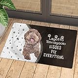 Funny Lagotto Romagnolo Kisses Fix Everything Doormat, Lagotto Romagnolo and Dog Paws Kisses Fix Everything Welcome Mat for Lagotto Romagnolo Lover, Anti-Slip Door Mat for Indoor/Entrance 16x24 Inch