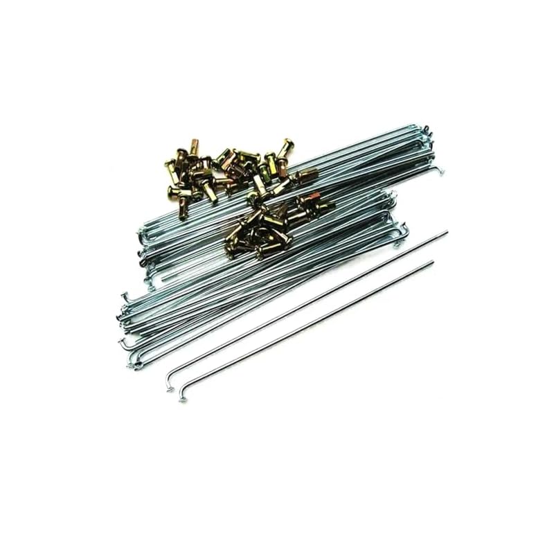 51hm 6ripjl. sl500 . ss800