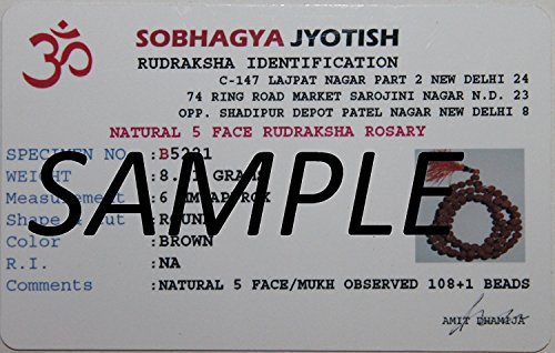 IS4A 5 Face Rudraksha Pendant/ 5 Mukhi Rudraksha Pendant |Certified|4