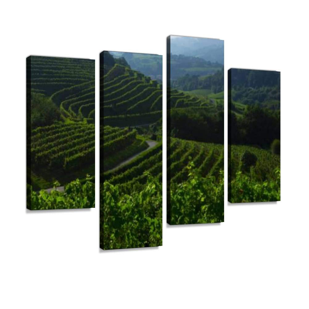 HIPOLOTUS 4 Panel Canvas Pictures vineyard and landscape view of farm in zarautz vineyard landscape Wall Art Prints Paintings Stretched & Framed Poster Home Living Room Decoration Ready to Hang