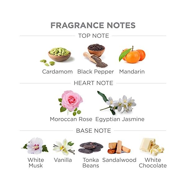 Yardley London Gentleman Deodorising Talc Talcum Powder for Men 100Gm