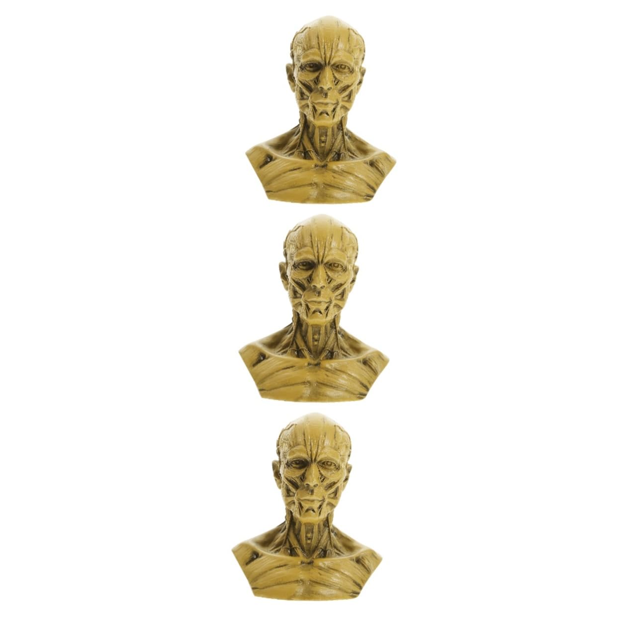 Estatua de boceto cabeza de cráneo de 3 piezas para práctica médica y dibujo