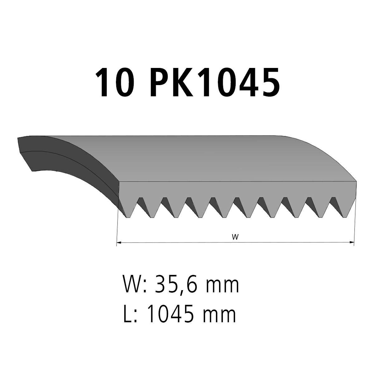 DT Spare Parts Cinghia Poly-V 2.15415 per FM10