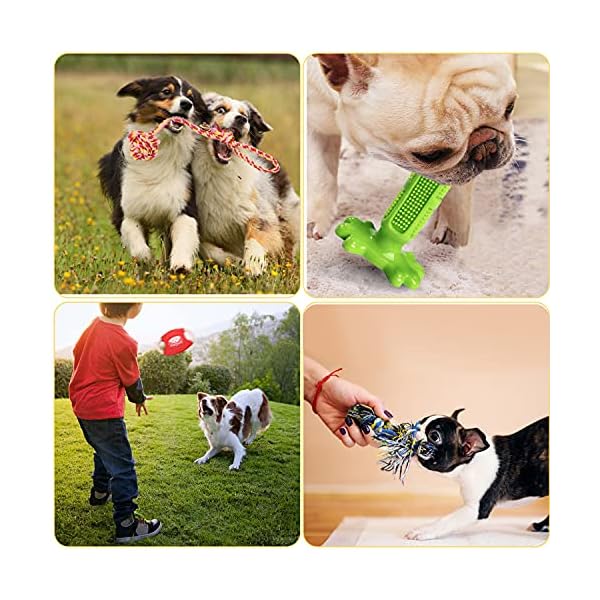 Dog Squeaky Toy for Puppy