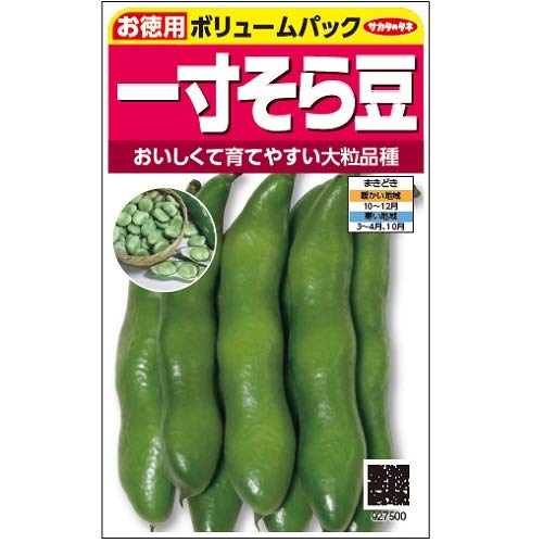 サカタのタネ 一寸そら豆【徳用】のサムネイル