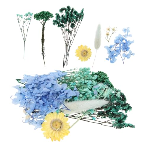 Flores secas prensadas para decoración y manualidades miniatura 1
