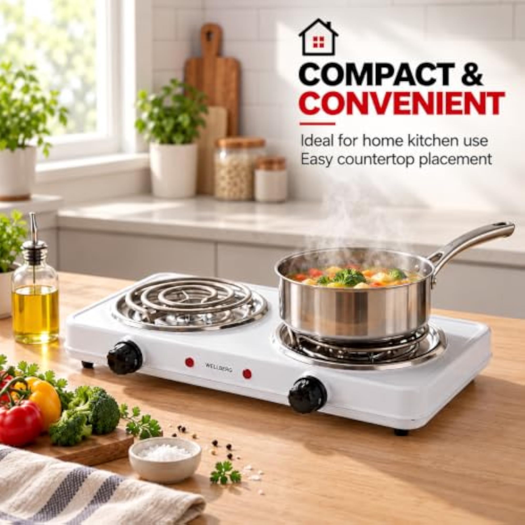 2000W Double Burner Electric Hot Plate