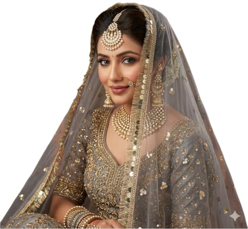 Image of Navti Creations Women's Lightweight Net Dupatta With Sequence Embroidery & Kiran Border (Length 2.25m)