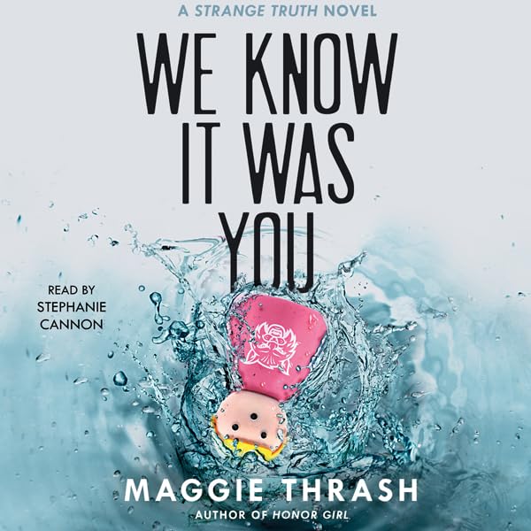 Cover art for We Know It Was You
