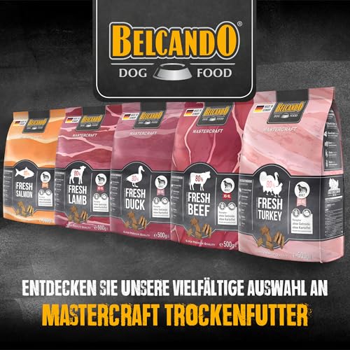 BELCANDO MASTERCRAFT Hundefutter trocken Fresh Beef, 500g, Trockenfutter für Hunde mit Rind, 80% Frischfleisch, getreidefrei, für alle Rassen, Made in Germany