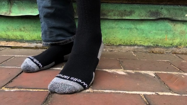 Wolford Socks&Cotton W Sneaker ３足セット adidas WB 3S Sock | SVD