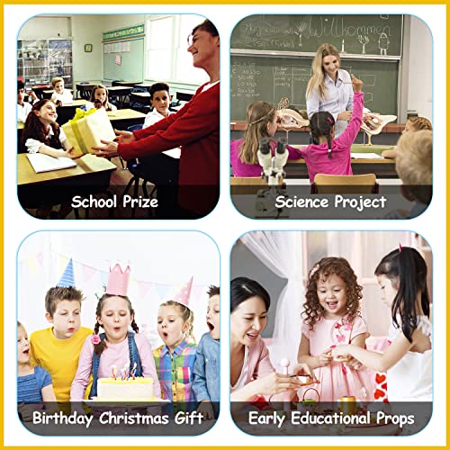 FLORMOON Megalodon, giocattolo realistico, grande