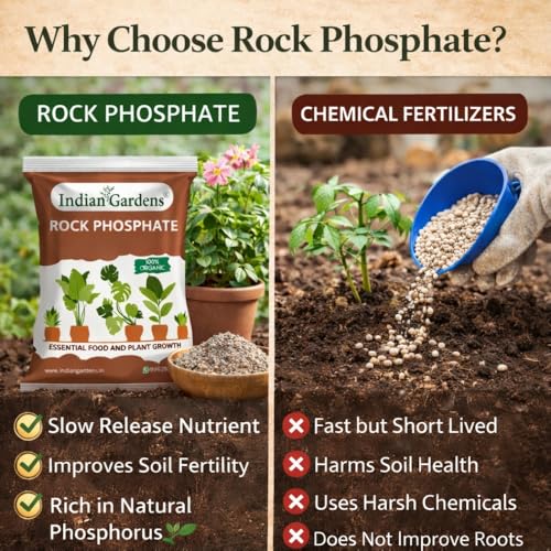 Image of Indian Gardens - Rock Phosphate Fertilizer Organic (900 Grams) | Phosphorus Source for Root Growth & Flowering | Slow Release Soil Conditioner | For Home Garden, Terrace & Agriculture Plants