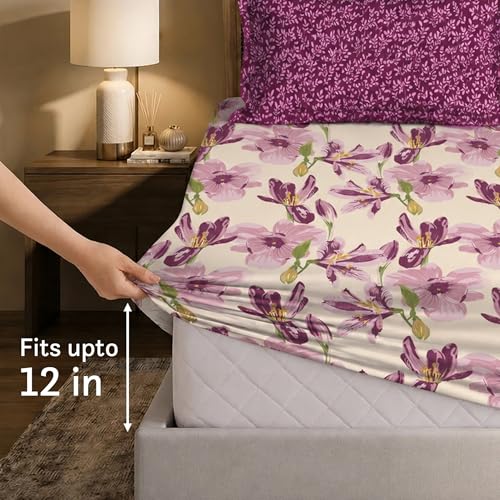 Image of MYTRIDENT Soft Comfort Bedsheet for Double Bed King Size | 72 Inches x 78 Inches + 12 Inches | 180 TC, 100% Cotton, Elastic fittedsheet with 2 Pillow Covers | Soft and Breathable - Dahlia