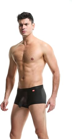 Sexy Underwear for Men Breathable Mesh See Through Boxer Briefs Elephant Nose Pouch Panties