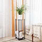 TANGSHUO 30" Tall Acrylic Plant Stands Indoor, Black 2 Tier Corner Plant Stand Indoor, Plant Shelf D