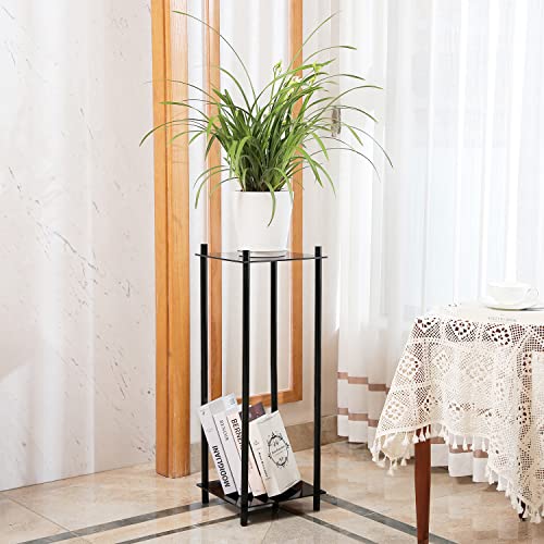 Tangshuo 30" Tall Acrylic Plant Stands Indoor, Black 2 Tier Corner Plant Stand Indoor, Plant Shelf Display Rack For Living Room Balcony Outdoor Garden #TOP3