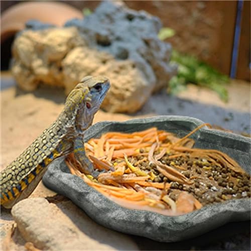 Eidechsen-Futternapf Futternapf aus ABS-Harz Haustiere Reptilienfelsen Futter- und Wassernapf Futternapf Schildkr?Ten-Eidechsen(S-Smaragdschwarz)