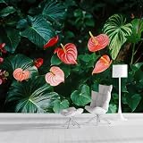 Carta Da Parati Anthurium Rossi - Piante Esotiche 450L×315Acm Fotomurali In Tnt Murale Giardino Verde Decorazione Da Muro Xl Poster Gigante Design Carta Pareti Soggiorno Verde Scuro