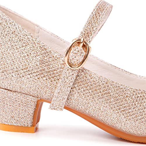 BEARAE Girls Mary Jane Shoes Party Dress Shoes Low Heel Girls Dress Shoes Wedding Party Mary Jane Princess Shoes for Kids3