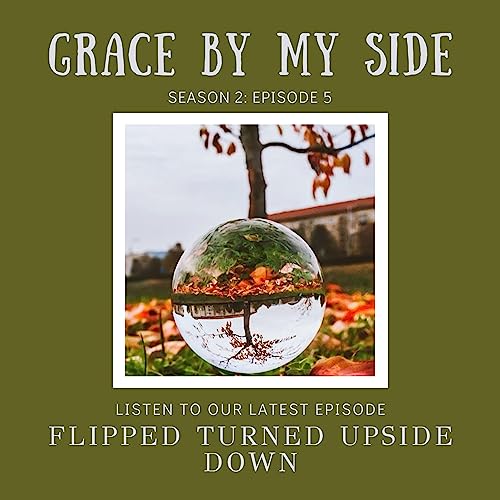 『Flipped Turned Upside Down』のカバーアート