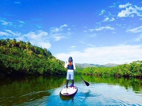 西表島マングローブSUPクルーズ+選べる竹富島観光ツアー[指定ホテル送迎選択可/石垣島発] 071-a005