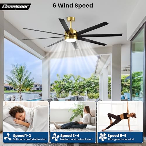 Image of Conciseer 65 Inch Ceiling Fans with Lights and Remote for Bedroom Living Room Kitchen Office, Indoor /Outdoor Use, 3CCT, 8 Blades 6 Speed Reversible Dimmable Quiet DC Motor, Gold /Black