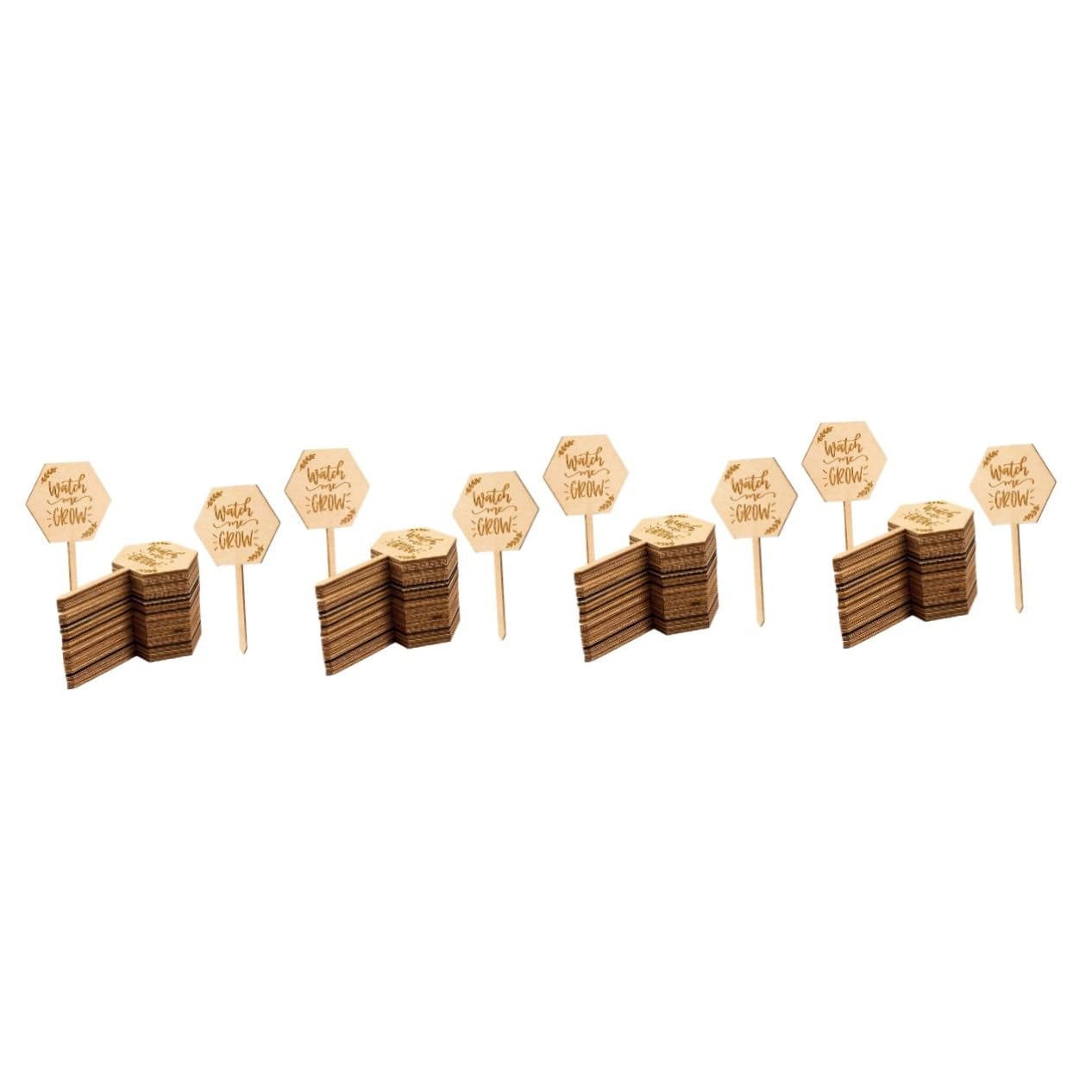 BESPORTBLE 4 Sätze Saftige Karte Pflanzenetiketten Für Pflanzenstützen Für Freilandpflanzen Holzbtiketts Pflanzenpflege Pflanzenmarkierungsetikett Kleines Pflanzenetikett 40 Stück * 4