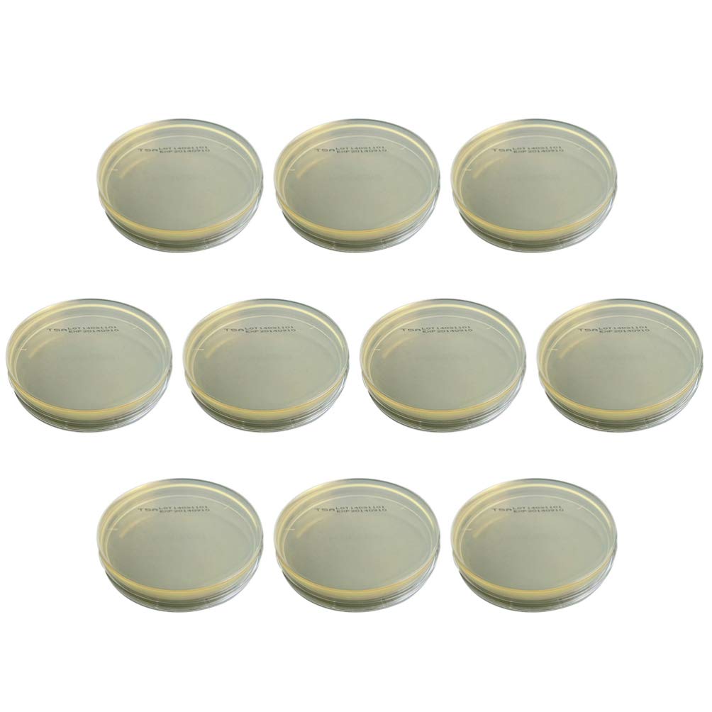 Petri Dish Sterile Agar Plates Petri Biological Agar Plates- 10pcs Vacuum Packaging Determine Equipment- Agar Plates Petri Dish for Science Experiment Agar Plates Prepoured Petri Dish