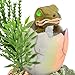 Saim Baby Dinosaur Hatching Out Aquarium Ornament Aerating Action Ornament, Oxygen Bubble Resin Crafts forFish Tank Decoration