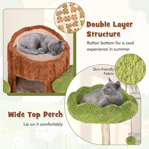 Árbol para gatos de madera sólida Tangkula 3 niveles miniatura 6