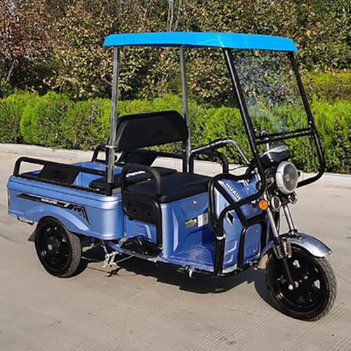 Housse tricycle électrique idéale pour la pluie et le stockage en extérieur