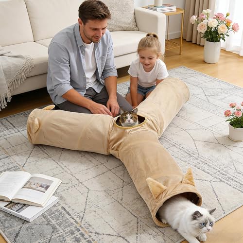 Tunnel de jeu pour petit chiot et chat avec niche interactive extérieure