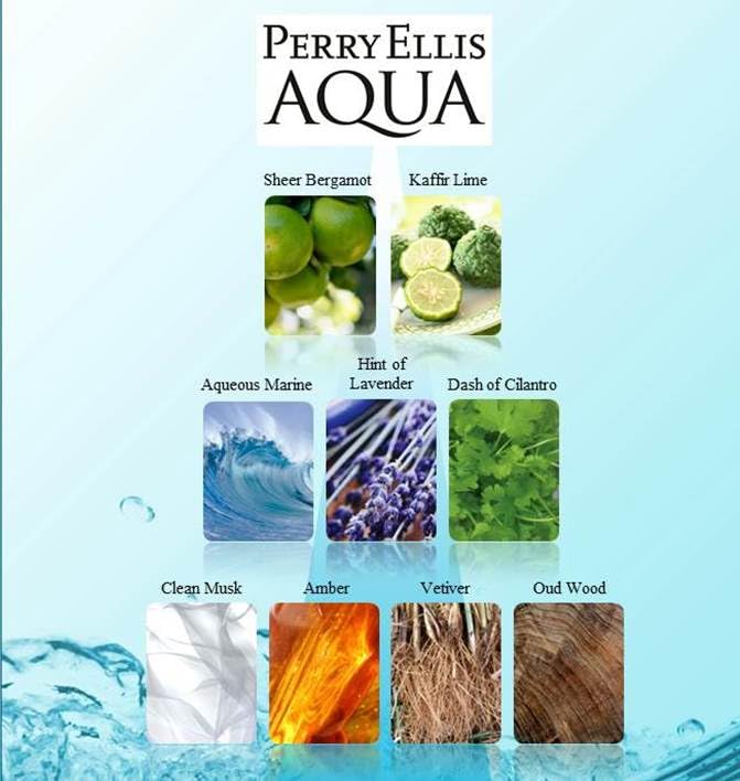 Perry Ellis Aqua for Men 4-Piece Gift Set - Image 5