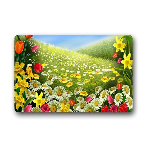 Nueva moda personalizado colores de verano primavera Entrada Felpudo al aire libre cocina, cuarto de baño antideslizante alfombra alfombra hogar (40cmx60 cm)