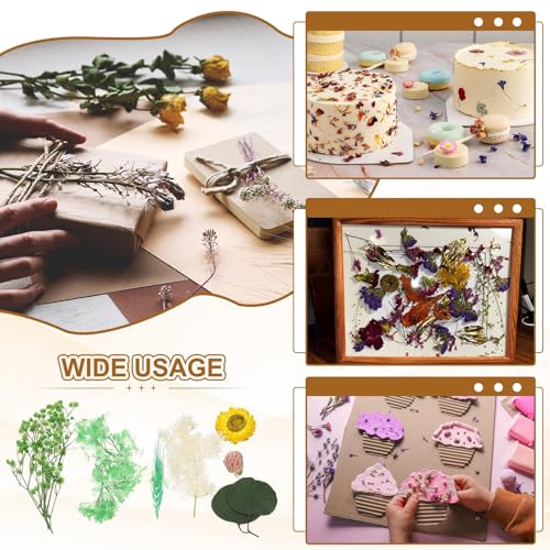 Set de Flores Secas Naturales para Manualidades miniatura 6