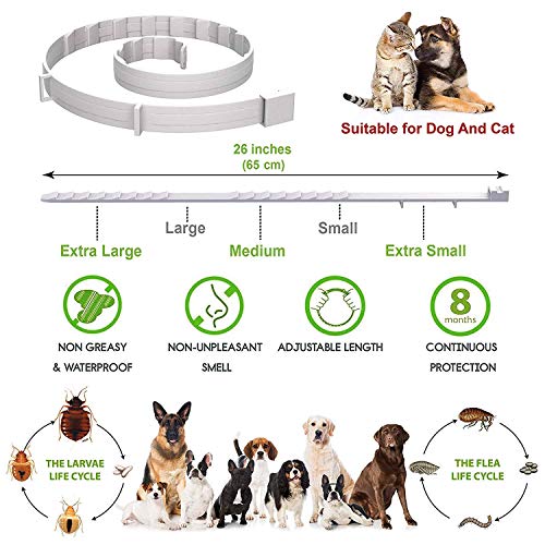 LORDDDON Dog Flea Collars with Reflectors Vet-Recommended Flea and Tick Prevention Collar for Dogs Above 18 lbs Large… - Image 5