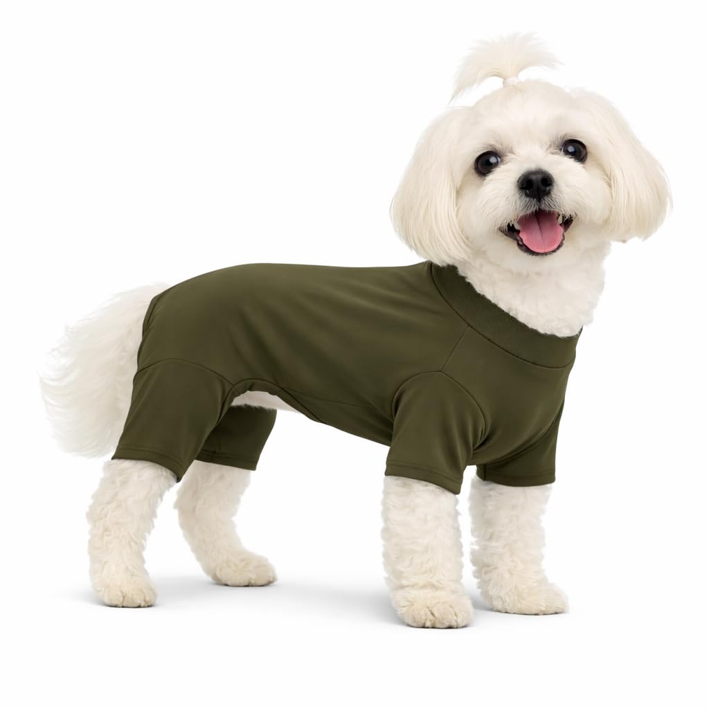 Lovelonglong Dog Full Bodysuit – Stretchy Yoga Fabric 4-Leg Dog Pajamas, Breathable & Lightweight Dog Onesie for Indoor & Outdoor, Shedding Control & Travel Wear Green XXS