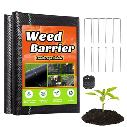 hXP[vOXoA | 3x32tB[g D蓧ߐoA - U^ŒyOtOXubJ[AAŐAAAxbhAK[fjOAAEghAAԁAhCuEFCAK[f̕iɁB