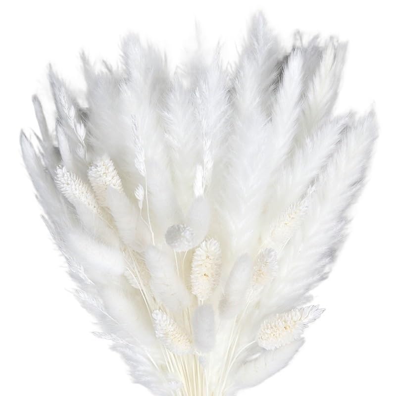 Ramo de pasto pampas seco natural grande y esponjoso 35-45 cm miniatura 5