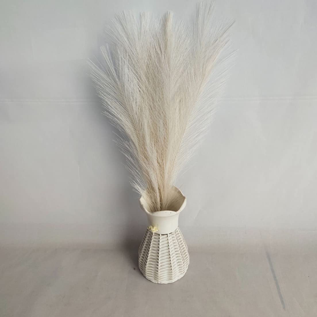 Set 6 Steli Erba Pampas Finta In Seta - Altezza 45 Cm, Decorazione Per Casa, Bianco
