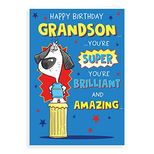 Humour Birthday Card Grandson - 9 x 6 inches - Regal Publishing