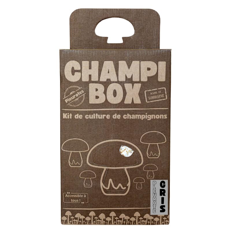 Kit de Culture de Champignons Pleurotes Gris Champibox™ (Pleurotus ostreatus) - Pleurotes Made in France - Gourmand et Éducatif - Idée Cadeau Originale et Naturelle pour Tous - Facile à Utiliser