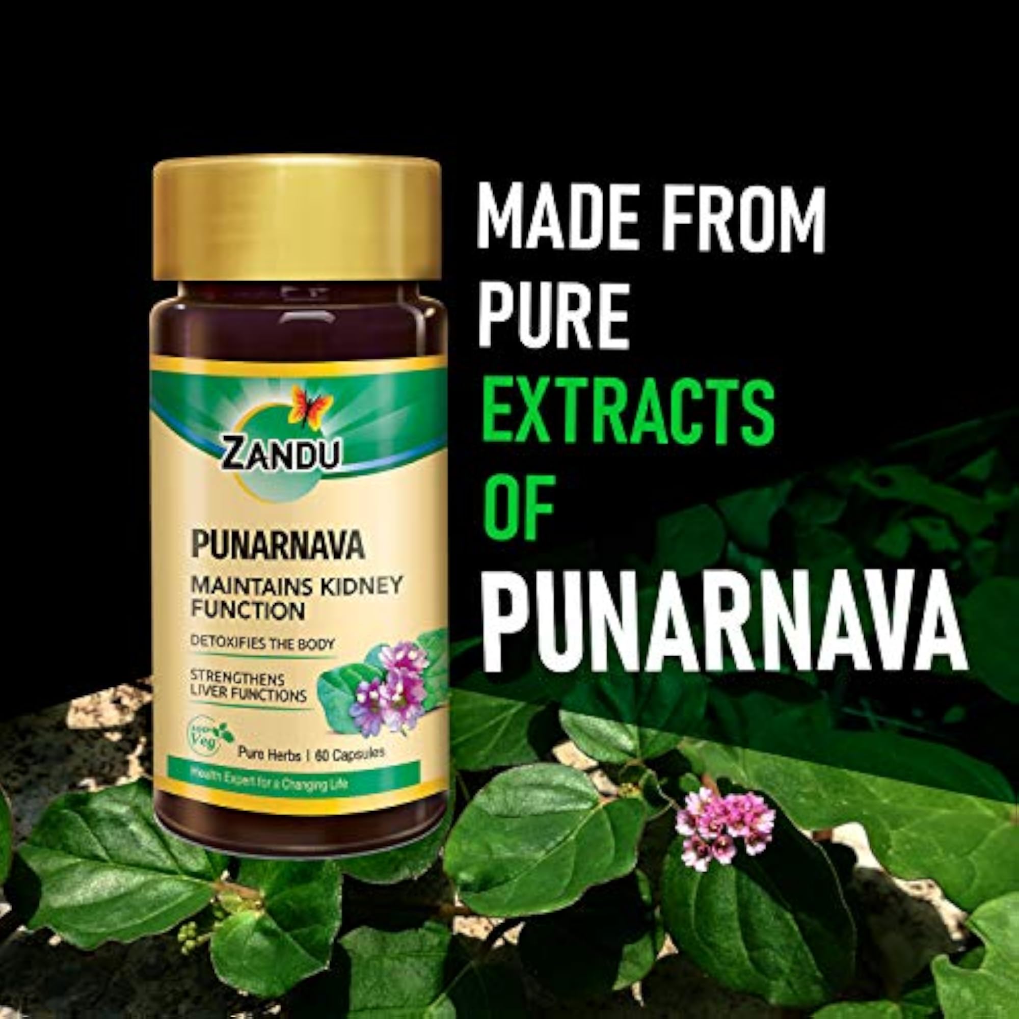 Punarnava Capsules, 60 Veg