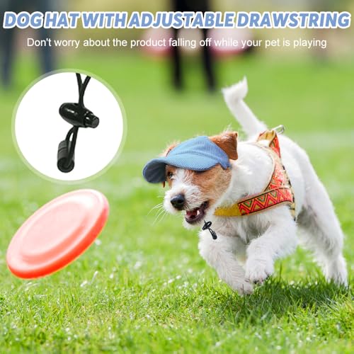 Riisoyu Hunde Baseballmütze, Verstellbar Hundecap mit Ohrlöchern Hunde Sonnenhut Sommer Reise Hut Hund Katze Outdoor Sunbonnet für kleine, mittlere und große Hunde, Blau