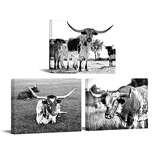 Nachic Wall 3 Pieces Animal Canvas Wall Art Black And White Texas Longhorn Pictures Highland Cattle Canvas Painting Prints For Living Room Farmhouse Cabin Decor #TOP14