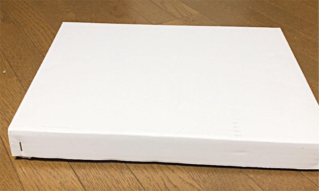 Amazon.co.jp: ヒグチユウコ 複製画おねえさんのよみきかせ Z