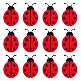 Conception délicate:nos patchs en tissu brodé sont conçus en forme de coccinelle, couleurs vives et lumineuses, exquis et élégant, convient pour être assorti à une variété d'articles différents, ce qui rendra vos vêtements plus personnalisés et dynamiques.